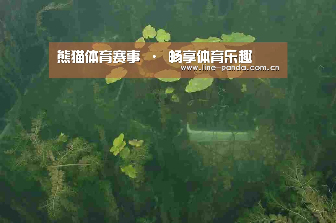 案例展示三(图1)