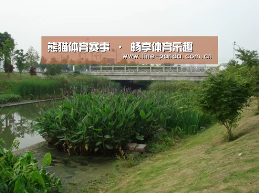 案例展示四(图1)