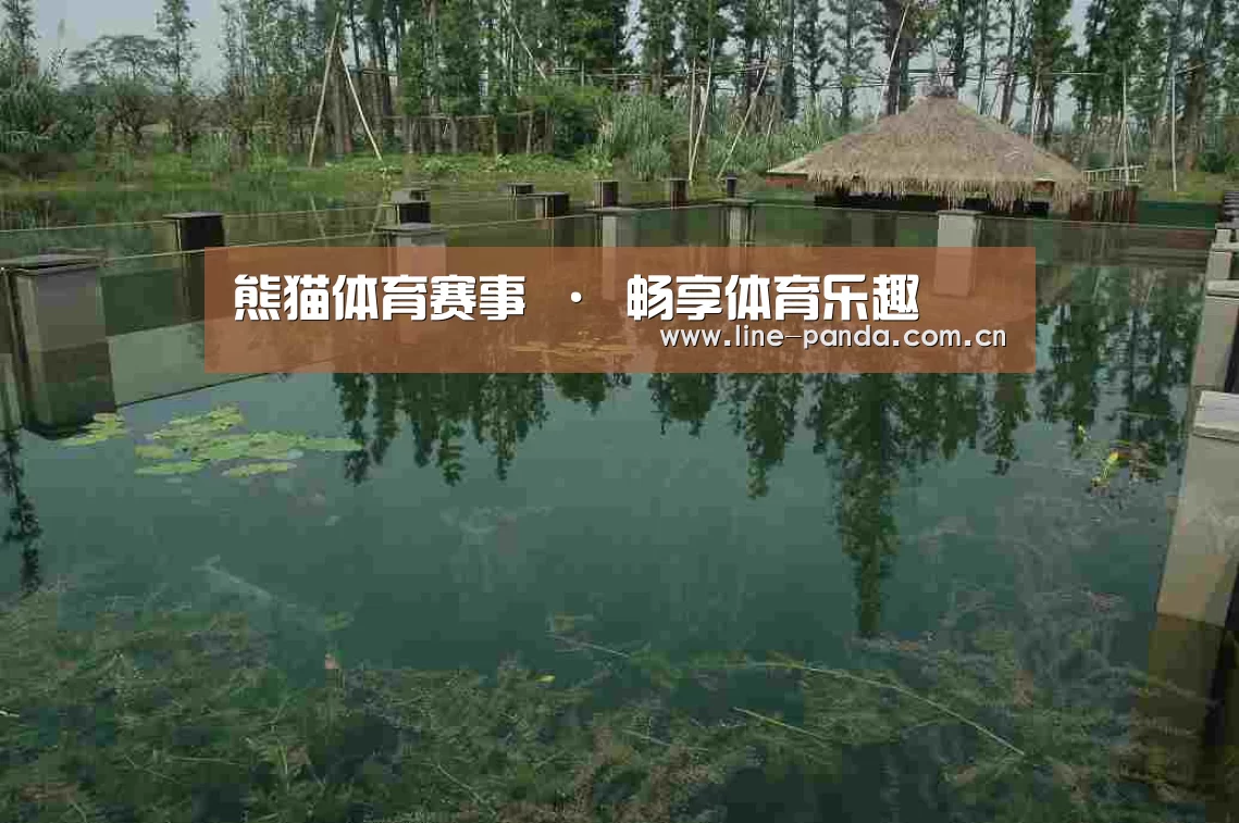案例展示二(图1)