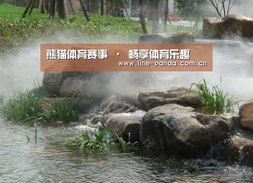 案例展示五(图1)