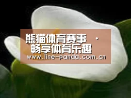 产品名称七