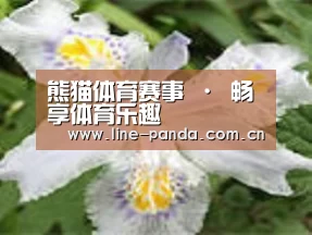 产品名称二
