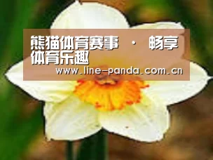 产品名称四