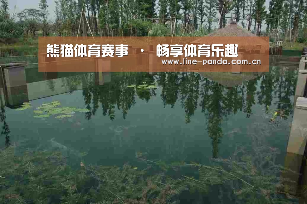 案例展示二