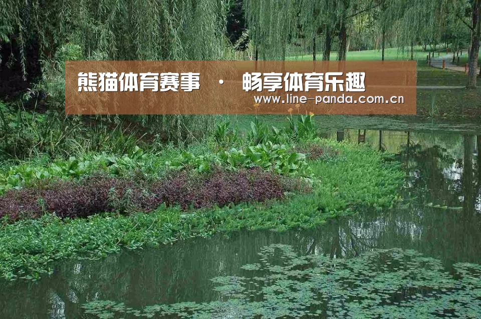 案例展示一
