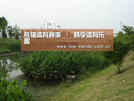案例展示四