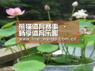 产品名称一