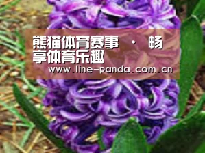 产品名称八