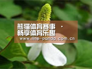 产品名称三