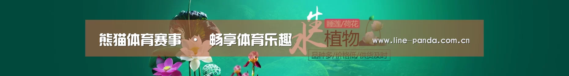 鲜花水草花卉网站模板