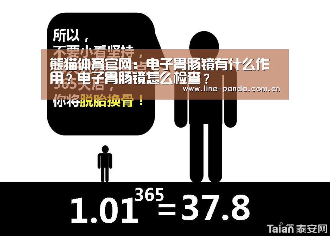 熊猫赛事