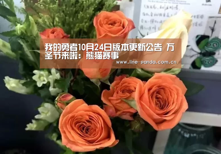 熊猫赛事