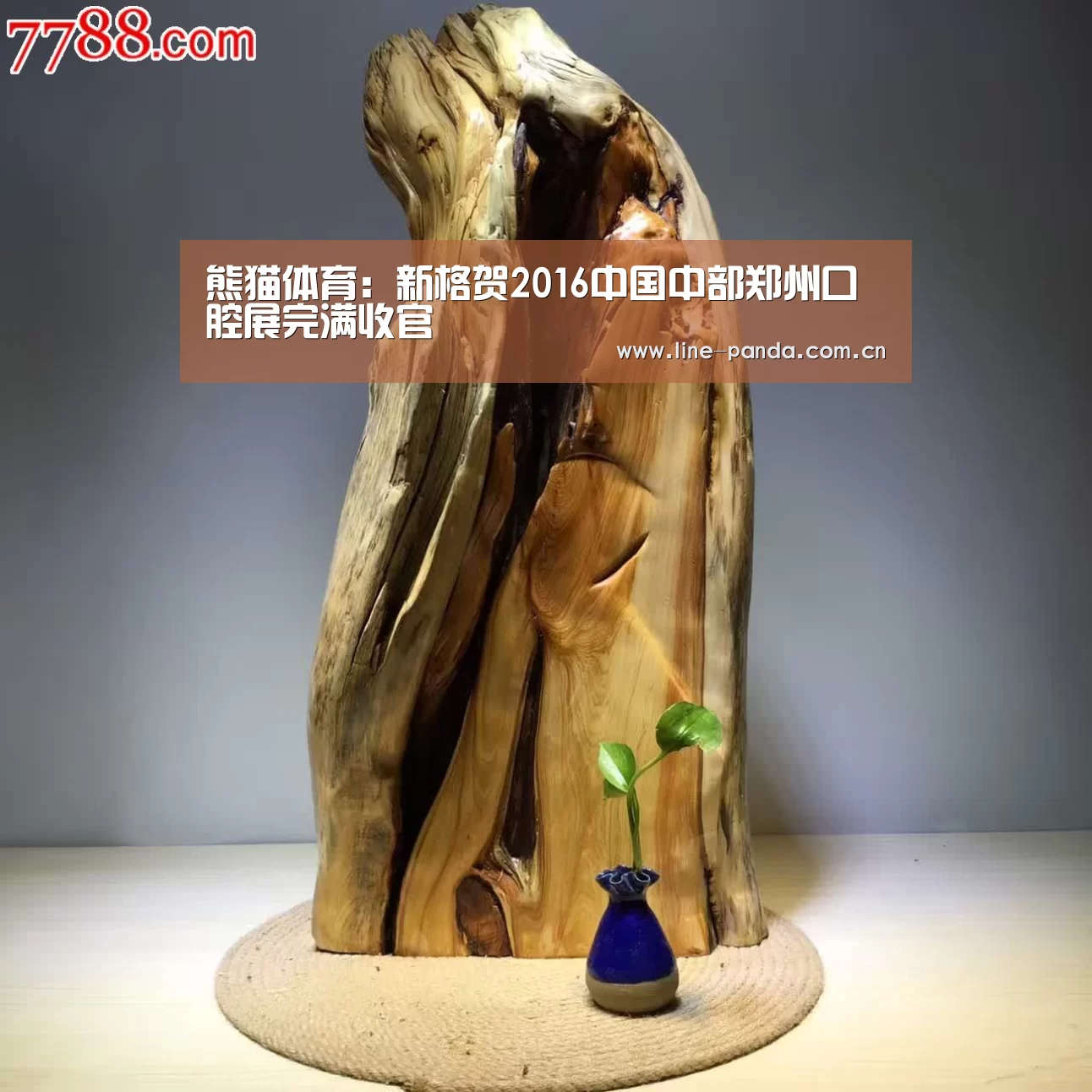 熊猫体育:新格贺2016中国中部郑州口腔展完满收官(图2) 熊猫体育官网