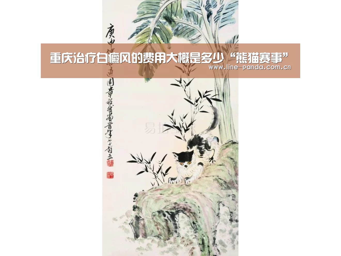 熊猫体育官网