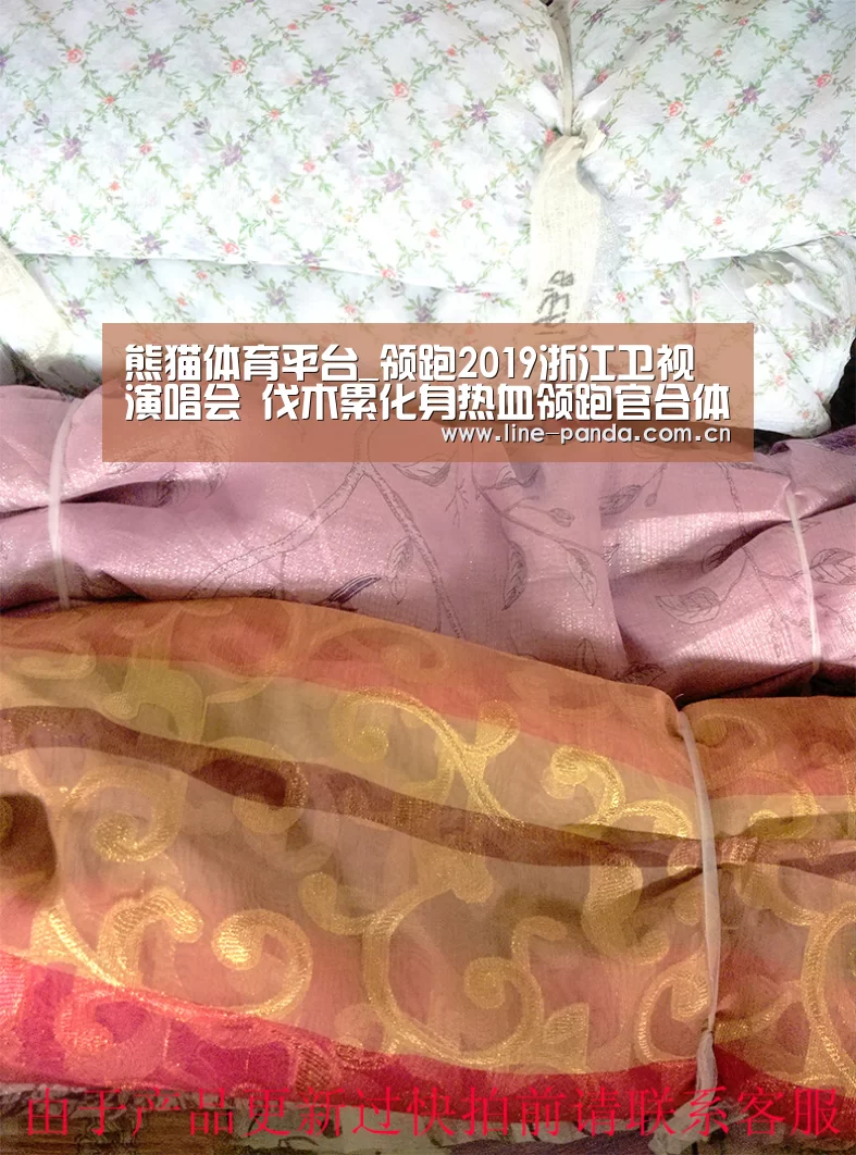 熊猫体育平台_领跑2019浙江卫视演唱会 伐木累化身热血领跑官合体(图2) 熊猫体育官网