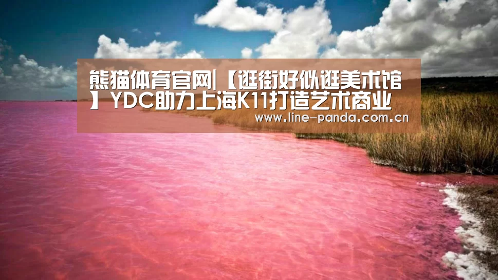 熊猫体育官网|【逛街好似逛美术馆】YDC助力上海K11打造艺术商业空间