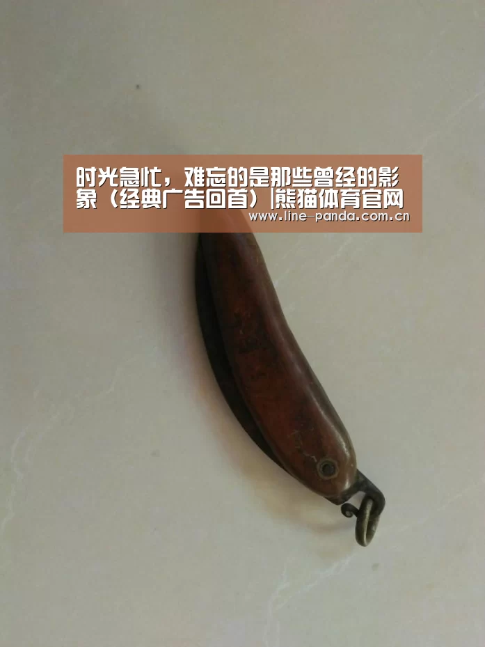 时光急忙，难忘的是那些曾经的影象（经典广告回首）|熊猫体育官网