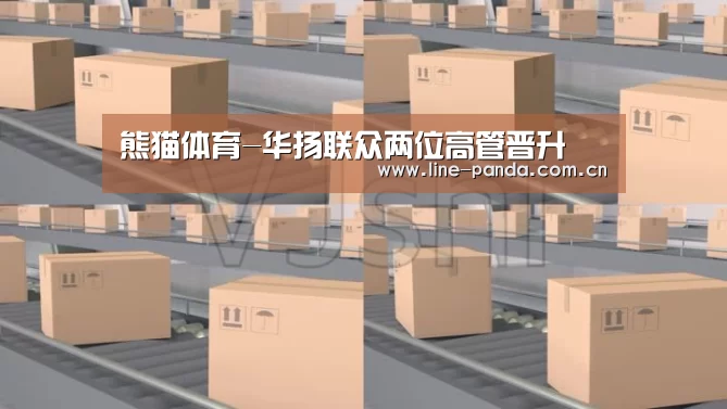 熊猫体育-华扬联众两位高管晋升