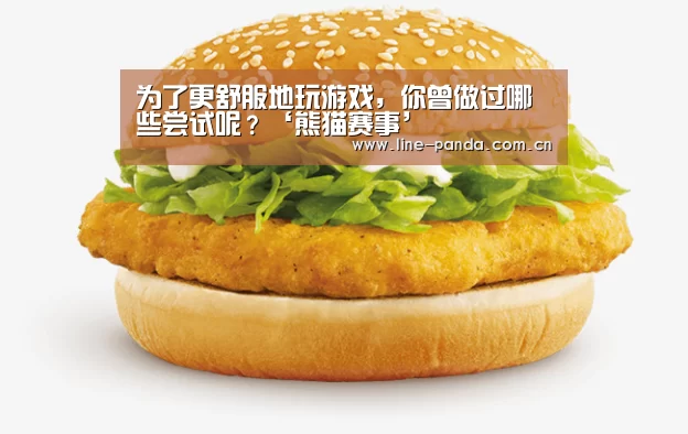 为了更舒服地玩游戏,你曾做过哪些尝试呢?‘熊猫赛事’(图3) 熊猫体育